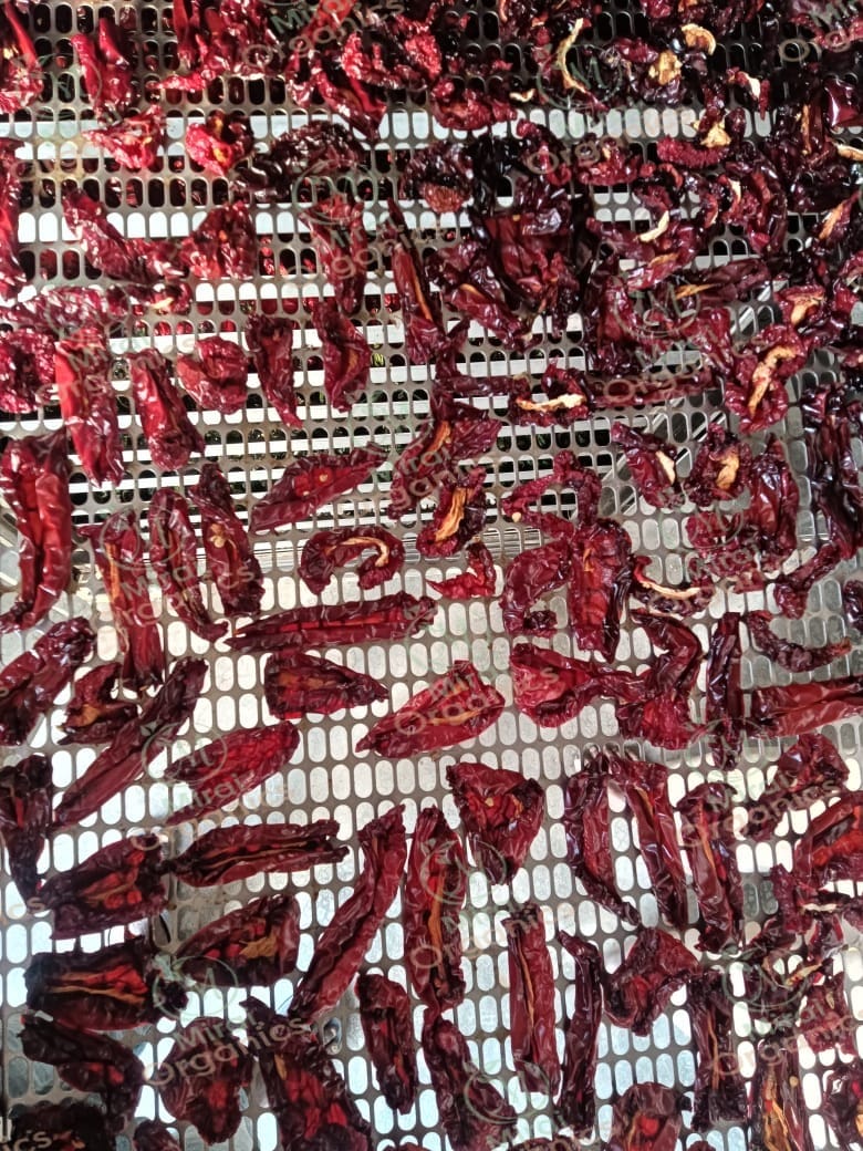 Dehydrated Red Capsicum/Bell Pepper Flakes